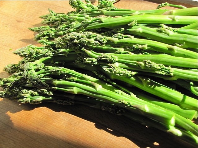 IMG 3228 Wild Asparagus