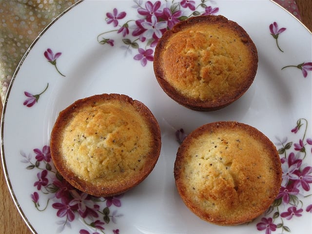 6145747928 e331fe85b9 z Monkey See, Monkey Do & Poppy Seed Pound Cake Muffins