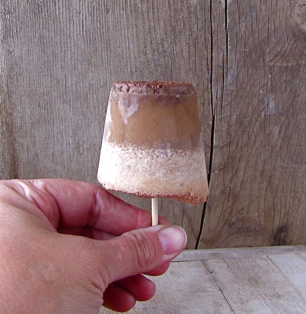 7436388822 e469c52b95 z International Delight Iced Coffee Chocolate Chip Popsicles