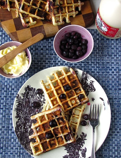 8078272169 dc2685cec9 z Blueberry Lemon Poppy Seed Waffles & OXO Giveaway!