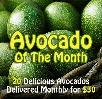 avo of the week2 Biscoff Tiger Bark and Last Minute Gifts