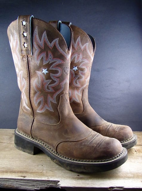 8495852247 ed28a7e3dd z Cowgirl Cookies & New Boots