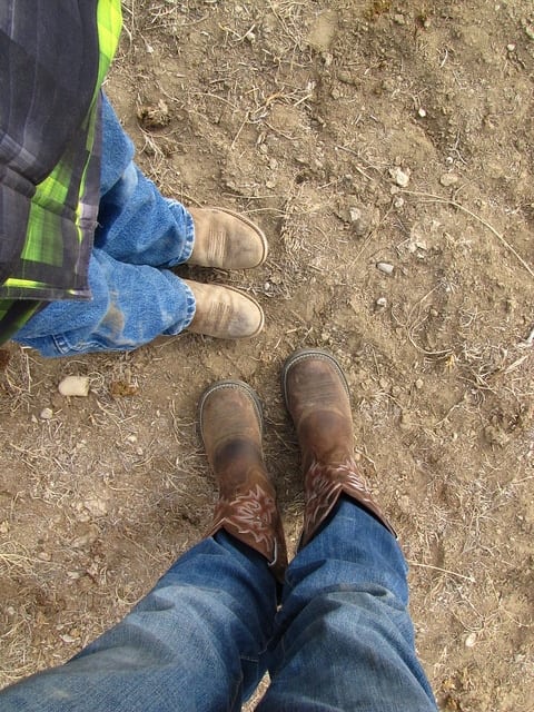 8496965480 8e82e8bd71 z Cowgirl Cookies & New Boots