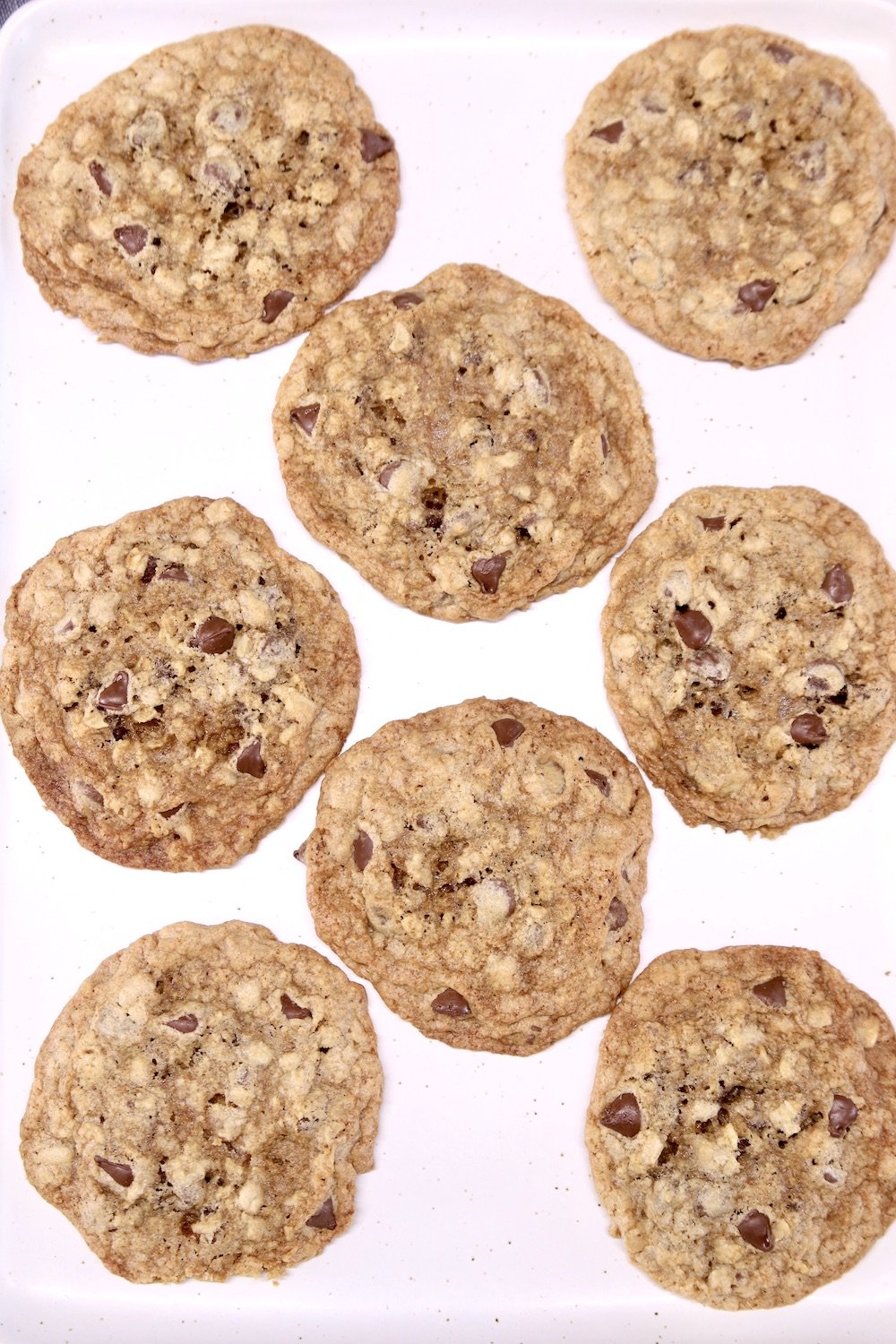 oatmeal chocolate chip cookies on a white platter