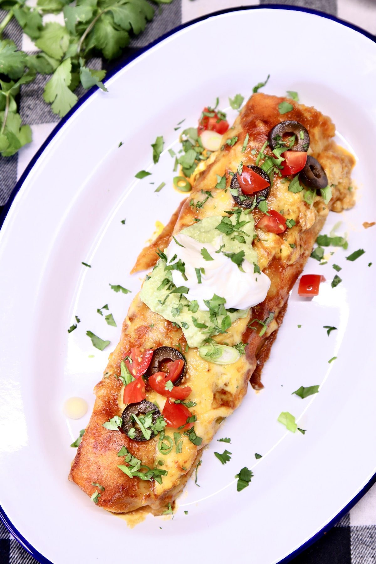chicken enchilada on a plate with sour cream, tomatoes, cilantro. 