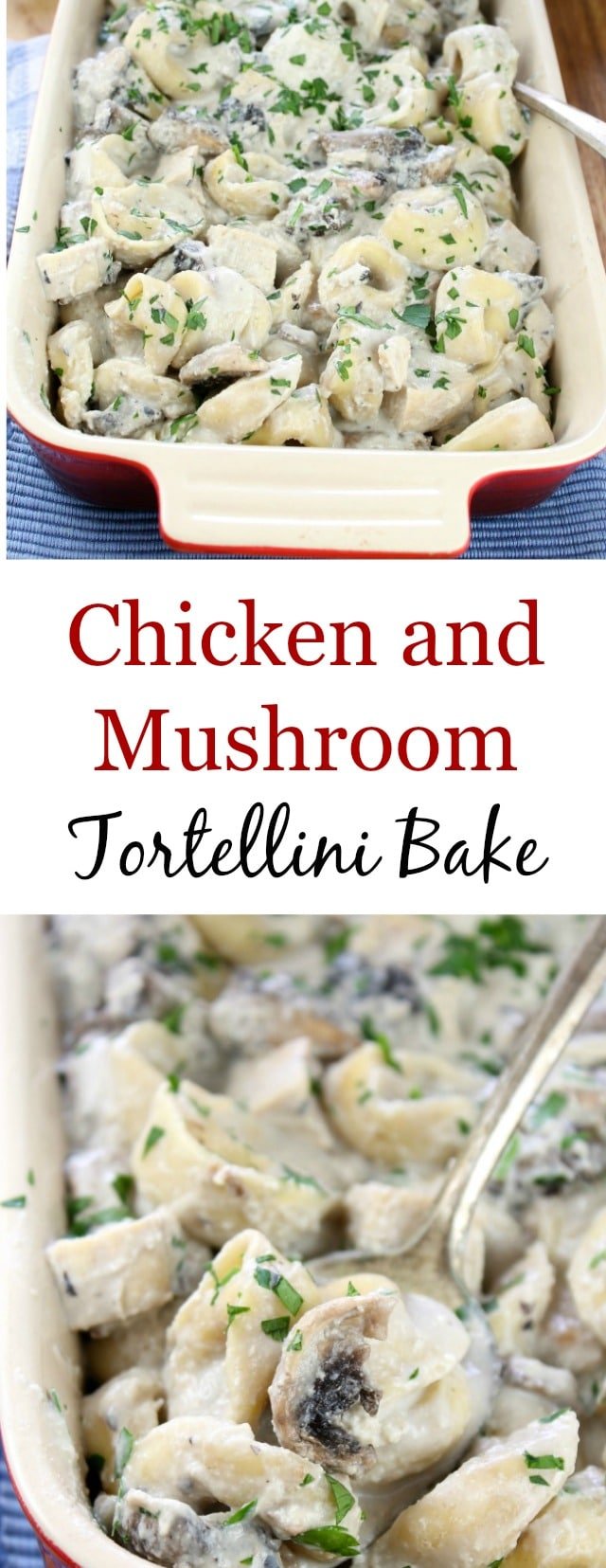 Chicken and Mushroom Tortellini Bake ~ Amazing comfort food. Recipe found at missinthekitchen.com