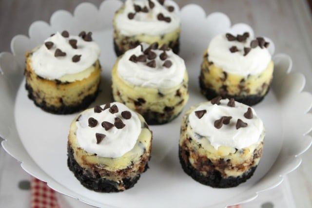 Mini Chocolate Chip Cheesecakes Recipe ~ MissintheKitchen.com