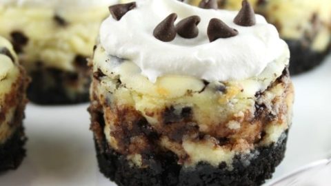 Mini Chocolate Chip Cheesecakes Recipe for the perfect bite- sized dessert! From MissintheKitchen.com