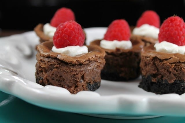 mini-chocolate-cheesecake-photo
