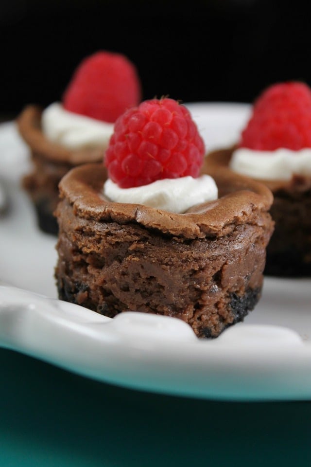 Recipe for Mini Chocolate Cheesecake ~ Delicious holiday or celebration dessert from MissintheKitchen.com