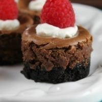 Mini Chocolate Cheesecake Recipe for holidays and celebrations. Missinthekitchen.com