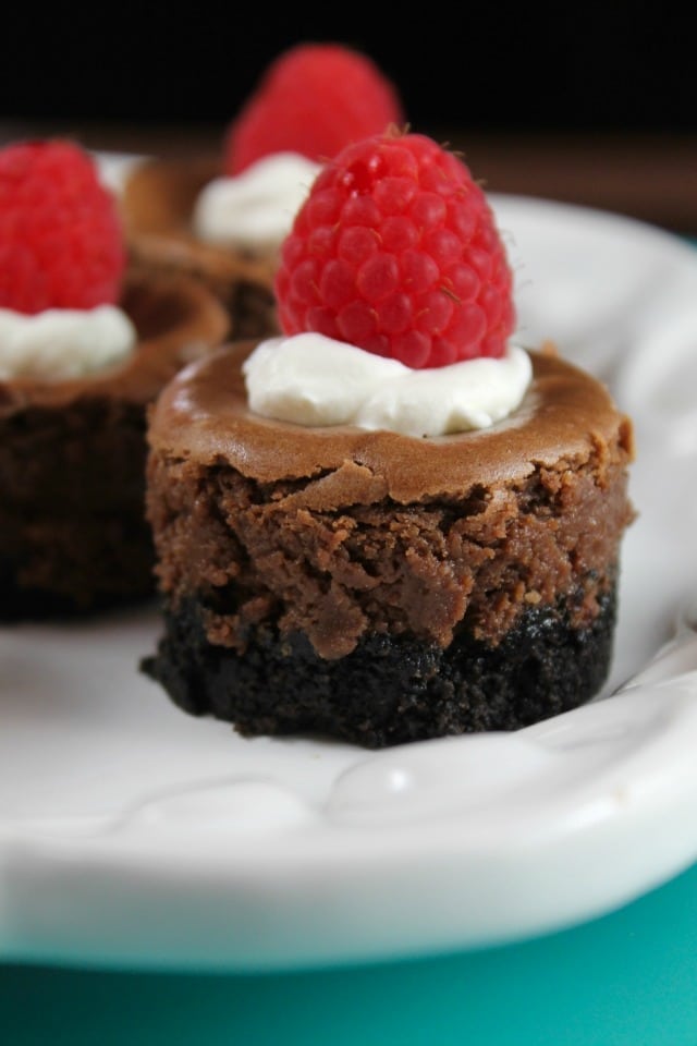 Mini Chocolate Cheesecake Recipe for holidays and celebrations. Missinthekitchen.com 