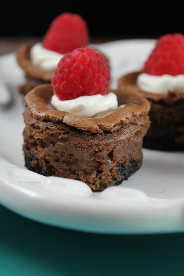 Mini Chocolate Cheesecake Holiday Dessert Recipe from MissintheKitchen.com