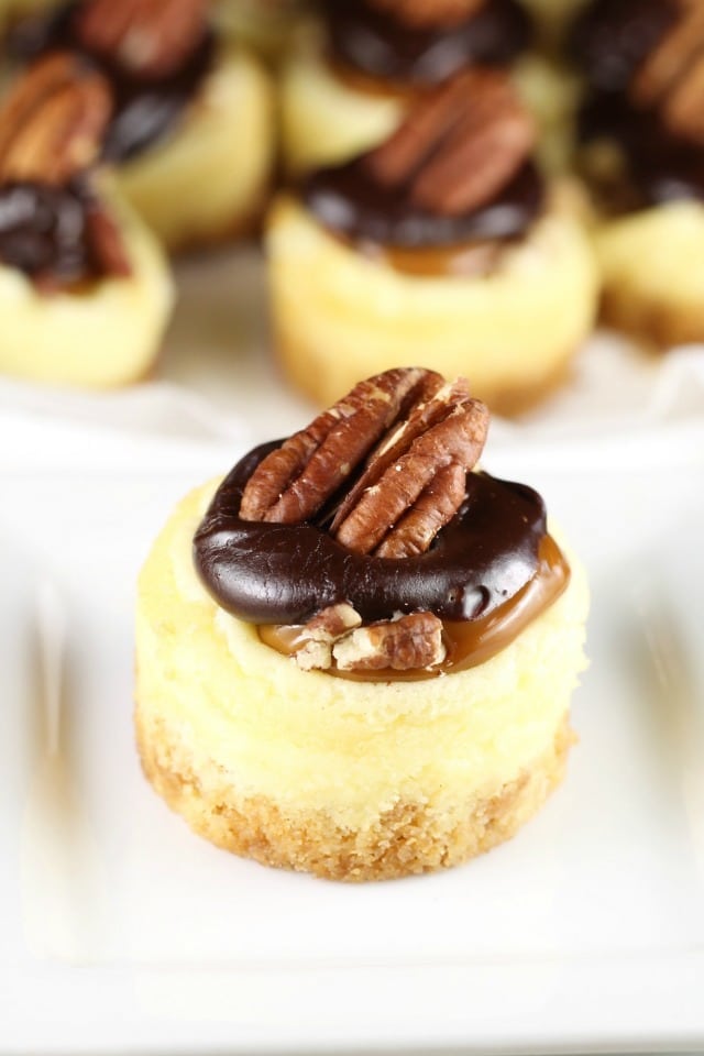 Mini Turtle Cheesecakes Recipe ~ Great for holiday entertaining ~ MissintheKitchen.com