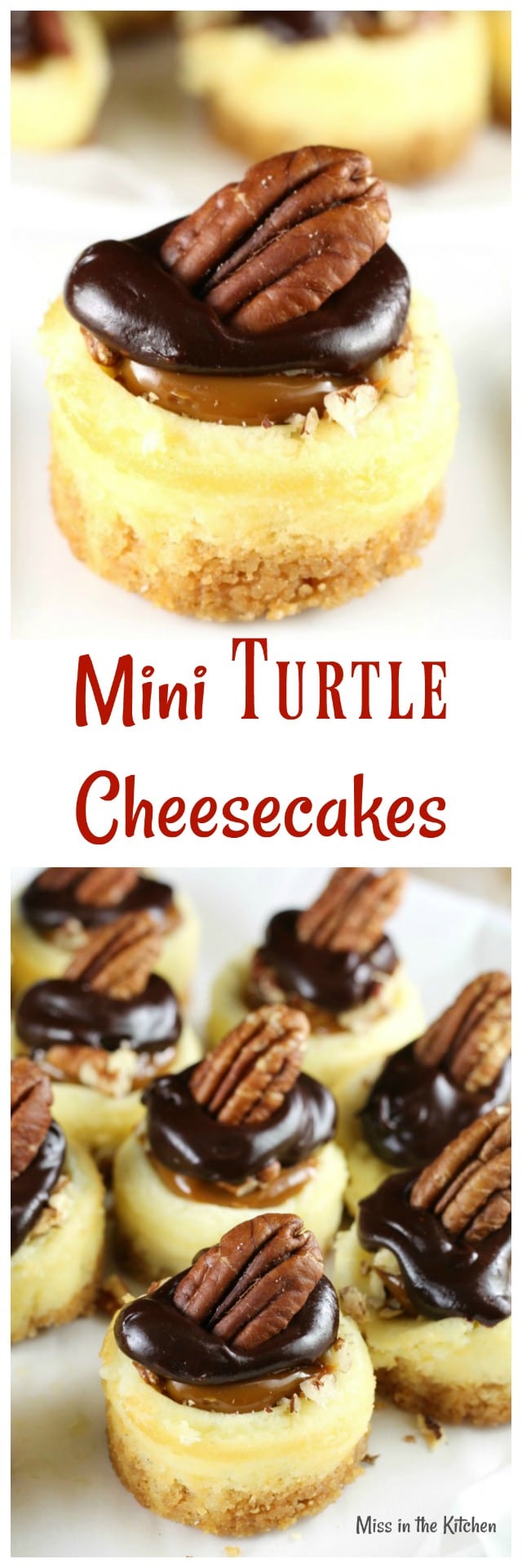 Mini Turtle Cheesecakes Recipe ~ Easy dessert for holidays and celebrations from MissintheKitchen.com #ad