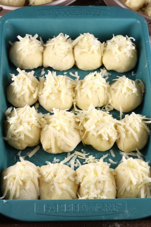 White Cheddar Potato Rolls ready for the oven