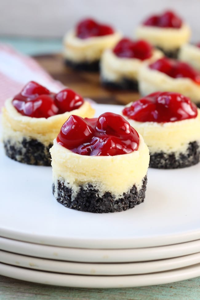 Close up mini cherry cheesecakes dessert