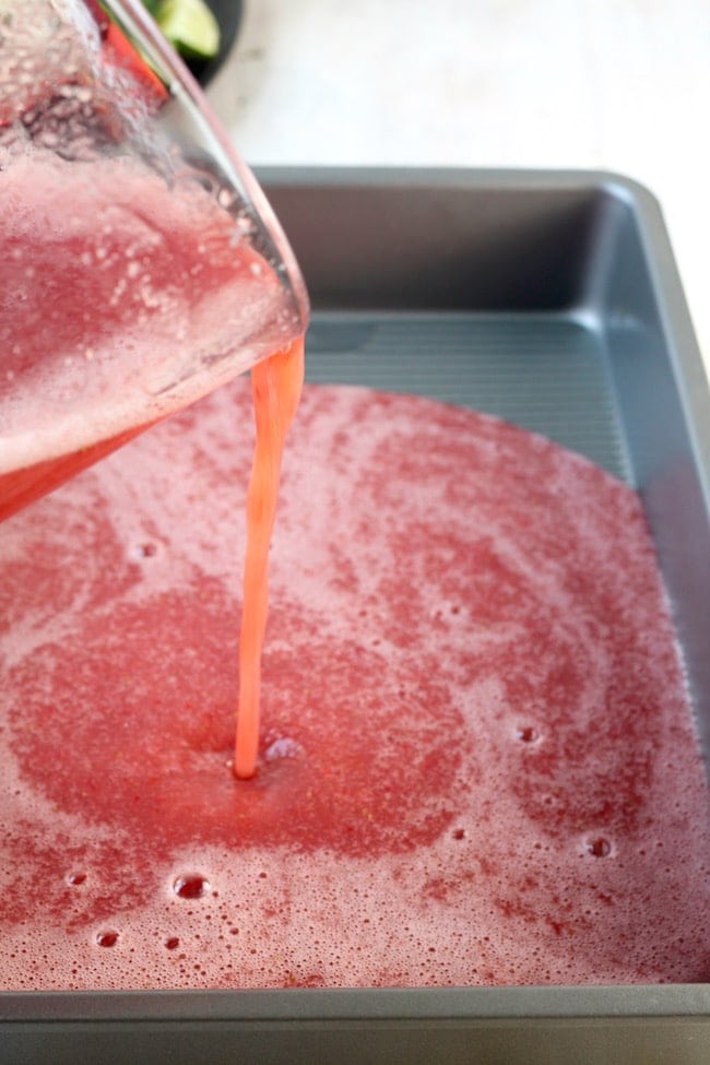 Blender Mixture of Strawberry Watermelon Frose