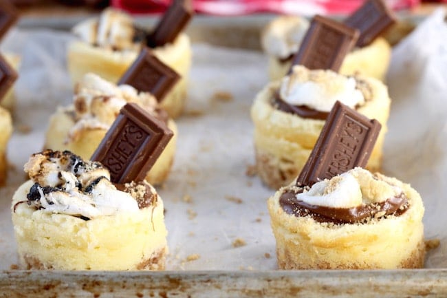 Mini S'mores Cheesecakes with toasted marshmallows and Hershey's chocolate bars