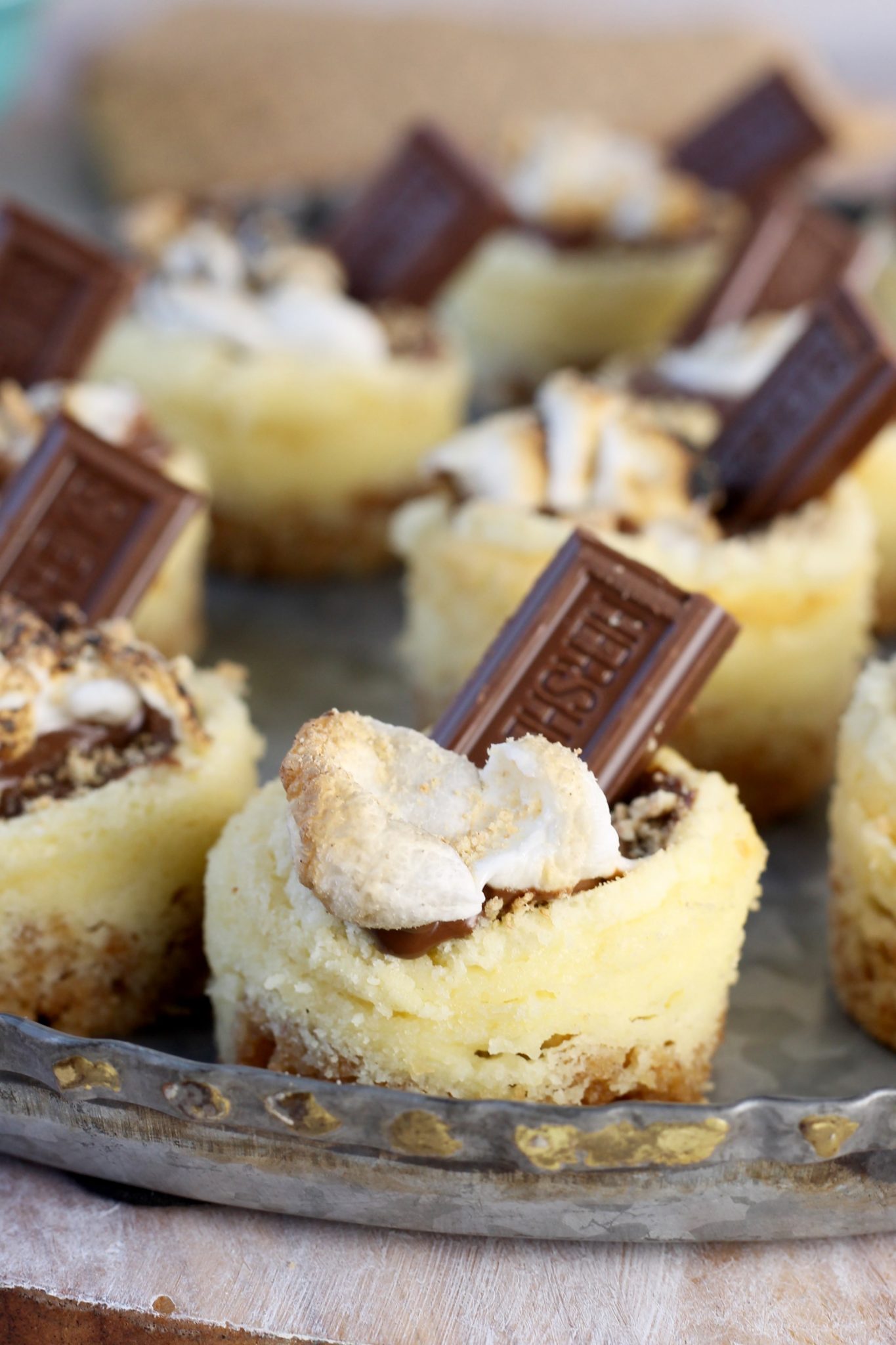 Mini S'mores Cheesecakes with toasted mini marshmallows and hershey bars