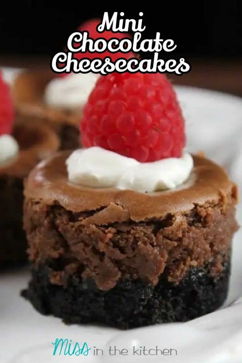 MIni Chocolate cheesecakes with whipped cream and raspberry.