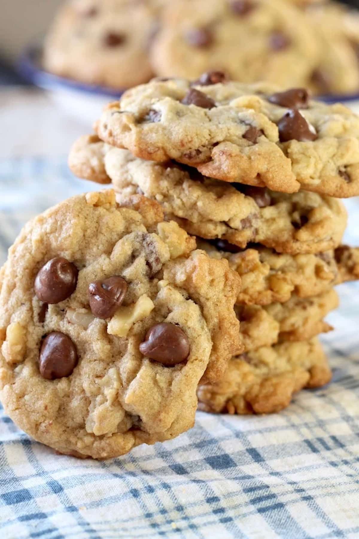 Chocolate chip walnut cookies, stacked.