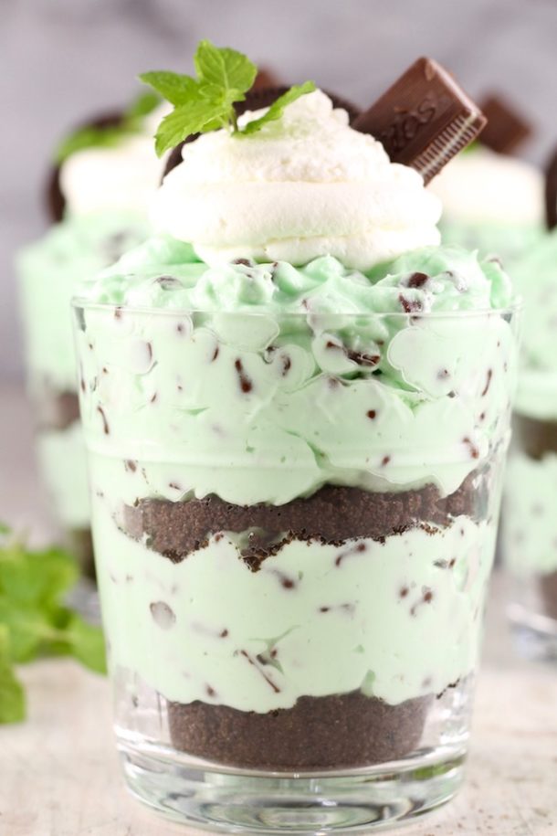 Mint Chocolate Chip No Bake Cheesecake - Miss in the Kitchen