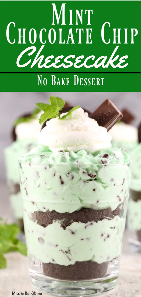 The Best Mint Chocolate Chip No Bake Cheesecake 