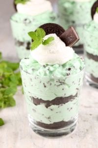 Mint Chocolate Chip No Bake Cheesecake - Miss in the Kitchen