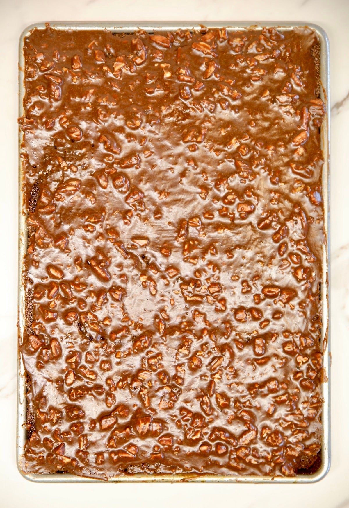 Texas sheet cake with chocolate pecan icing.