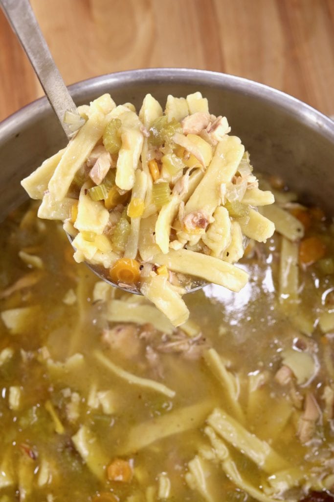 Ladle of chicken noodle soup