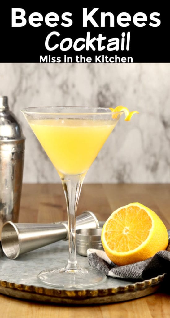Bees Knees Cocktail in a martini glass with a lemon half on a tray