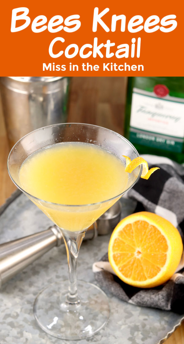 Bees Knees Cocktail with Gin and lemon