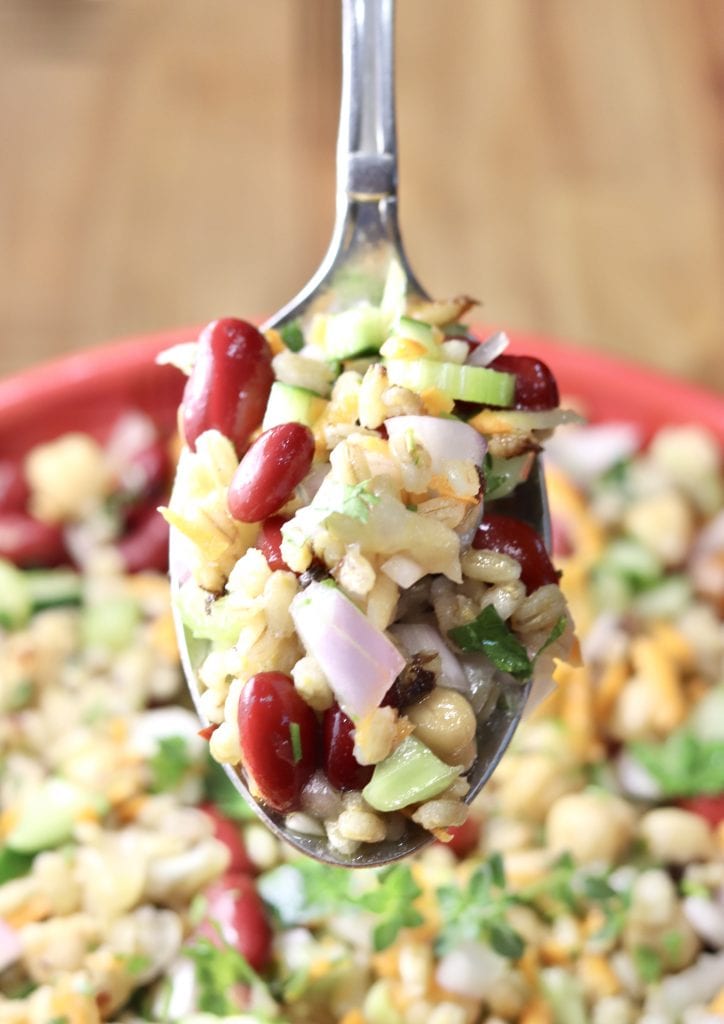 Spoonful of Bean and Barley salad with vegetables