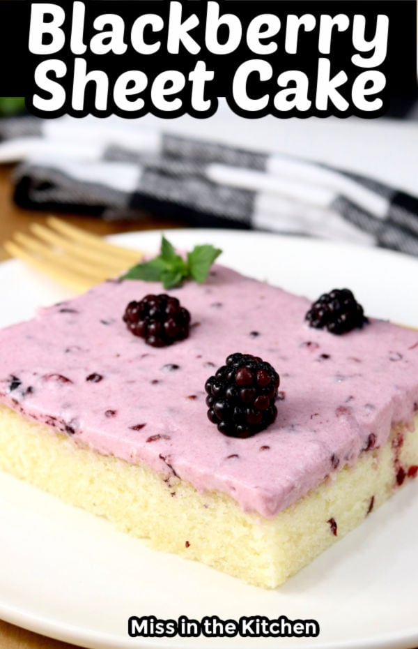 Blackberry Sheet Cake with text title overlay