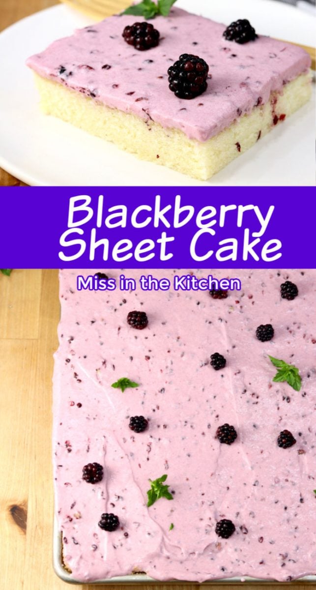 Blackberry Sheet Cake collage, sliced photo, sheet cake photo