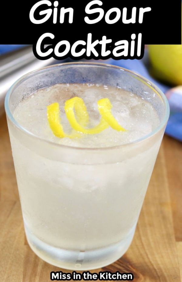 Gin Sour Cocktail