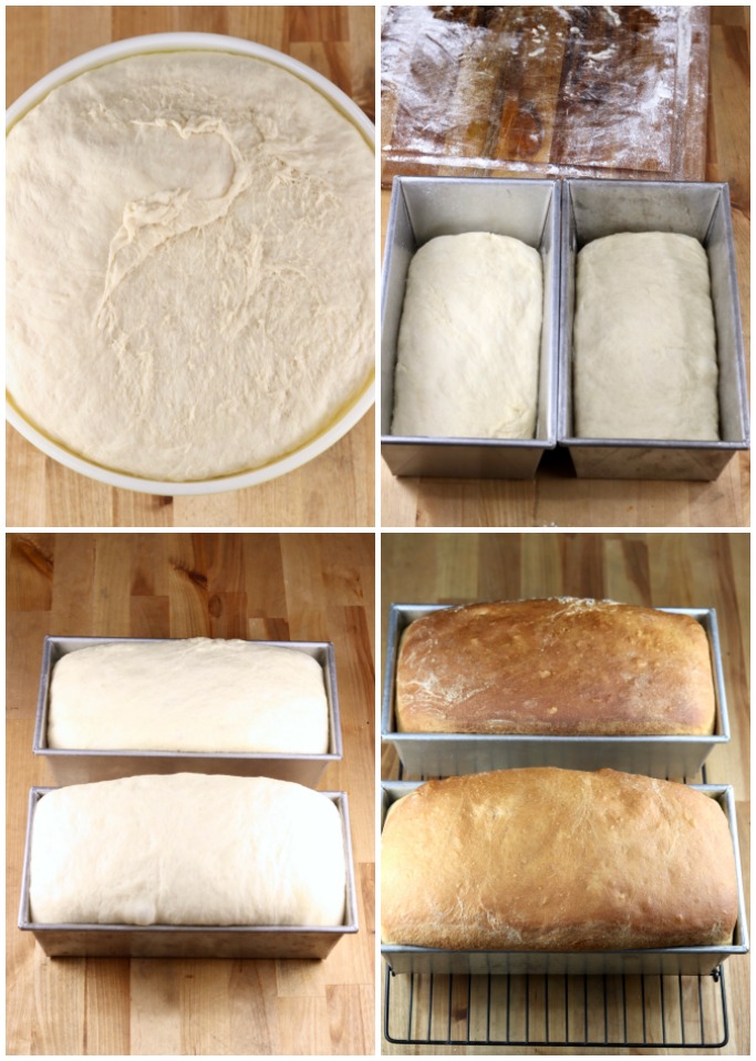 Rising dough, dough in 2 loaf pans, risen dough in pans, baked loaves of bread
