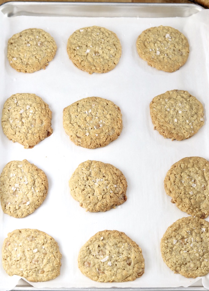 Baked oatmeal cookies on a white parchment lined baking sheet