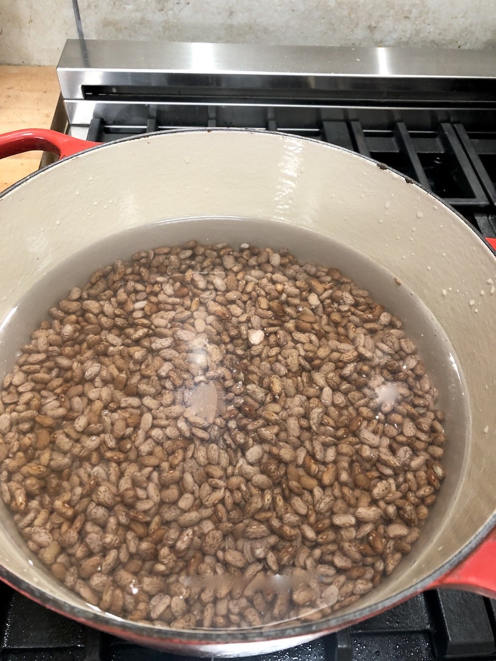 Pinto beans covered with water in a dutch oven on the stove top
