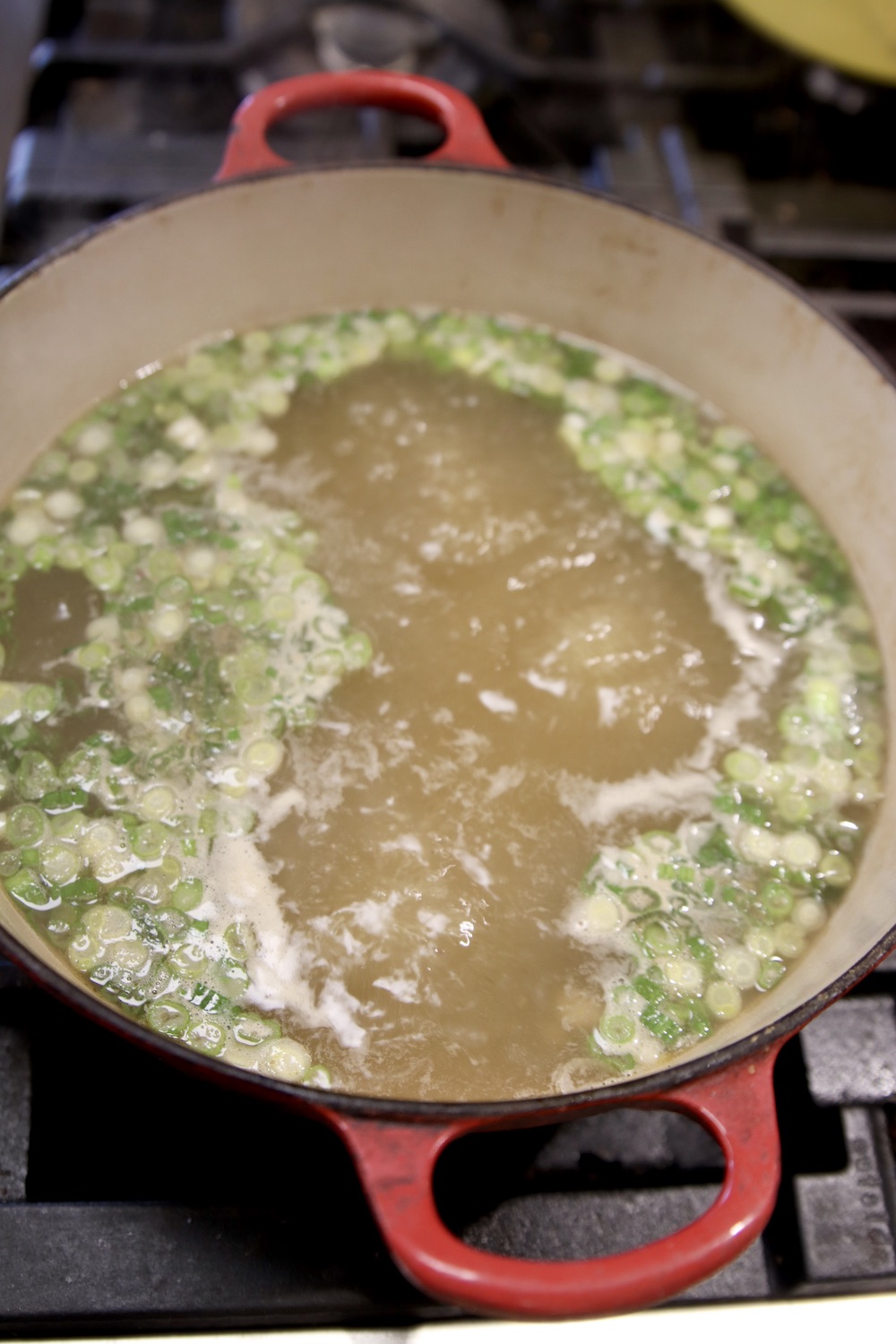 chicken broth boiling with green onions
