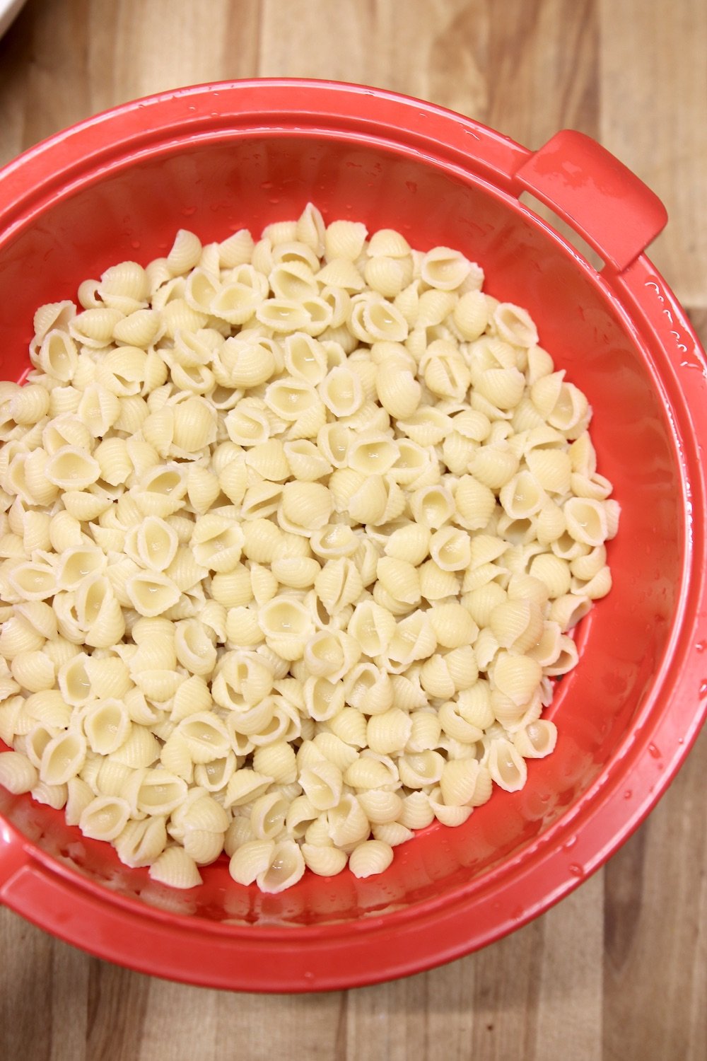 cooked pasta shells in a red colander