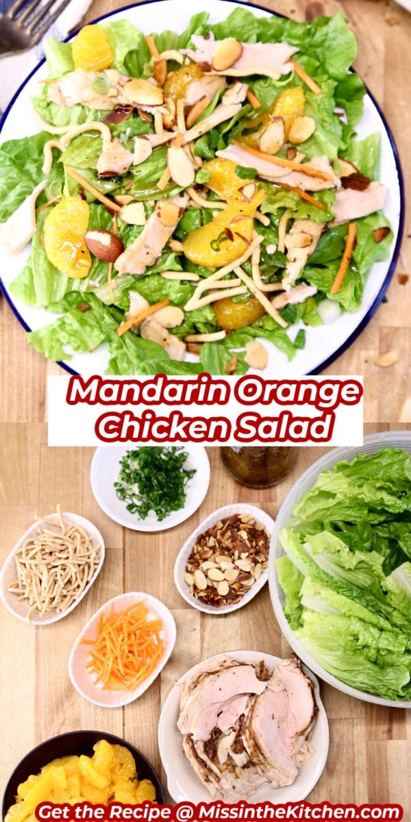 Mandarin Chicken Salad collage - plated over ingredients