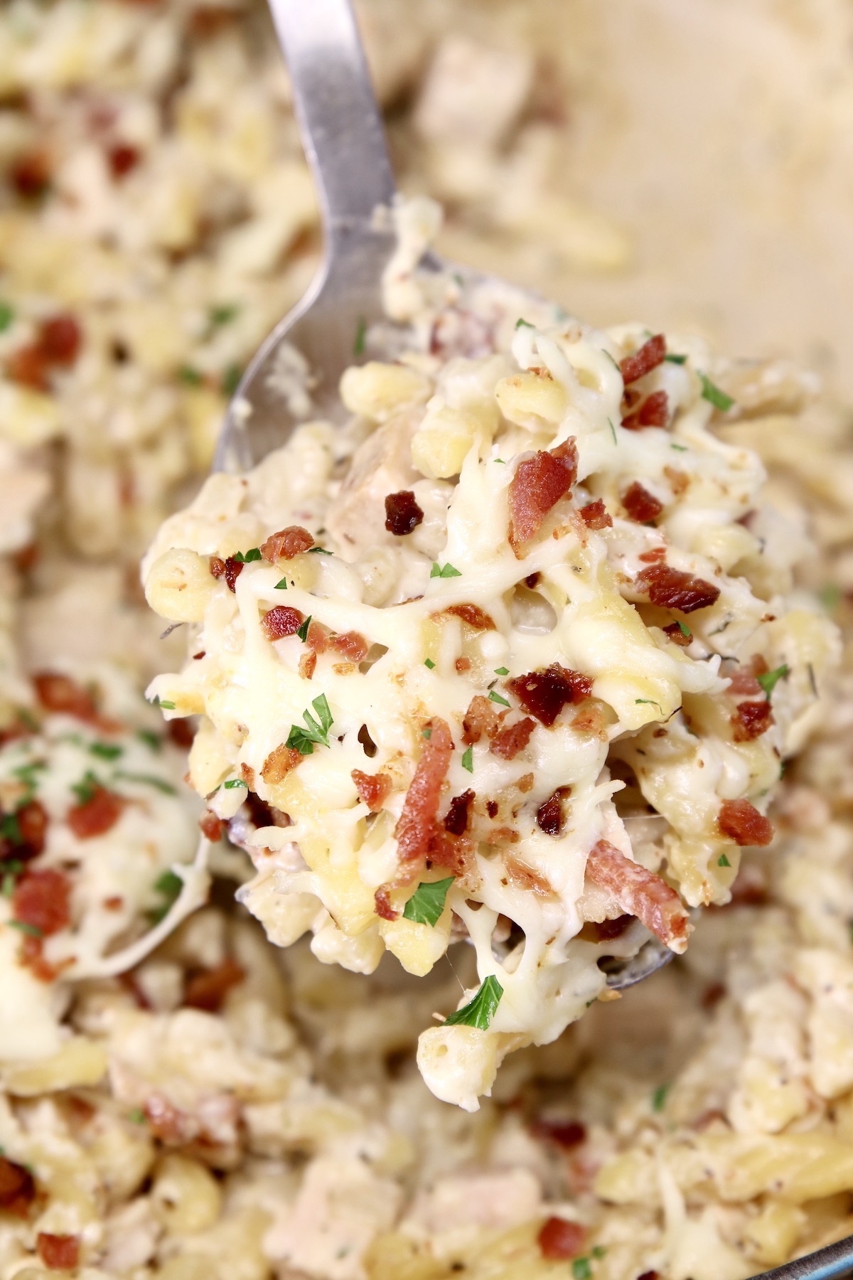spoonful of pasta casserole with chicken and bacon