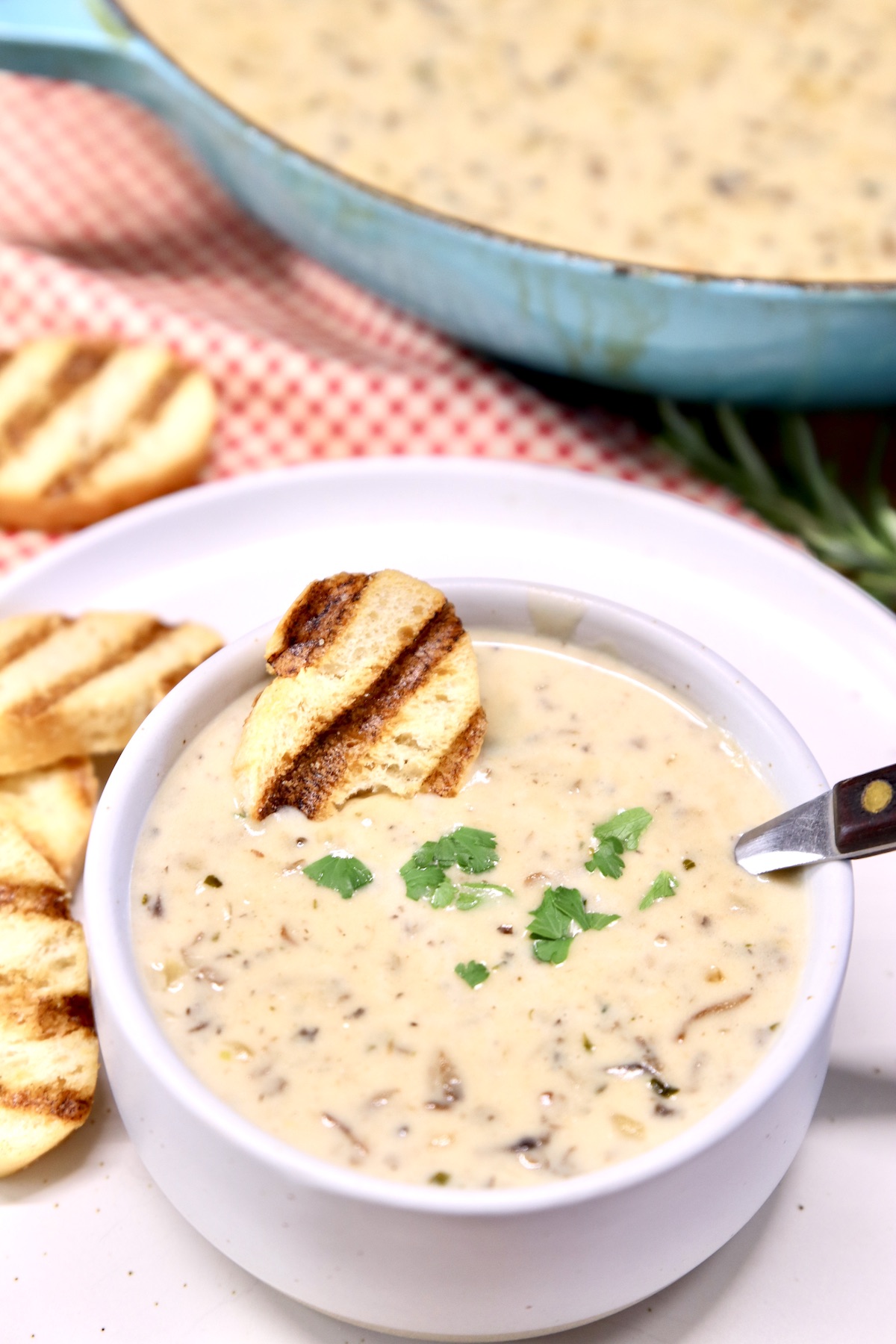 cream of mushroom soup in a bowl with toasted crostini with parsley