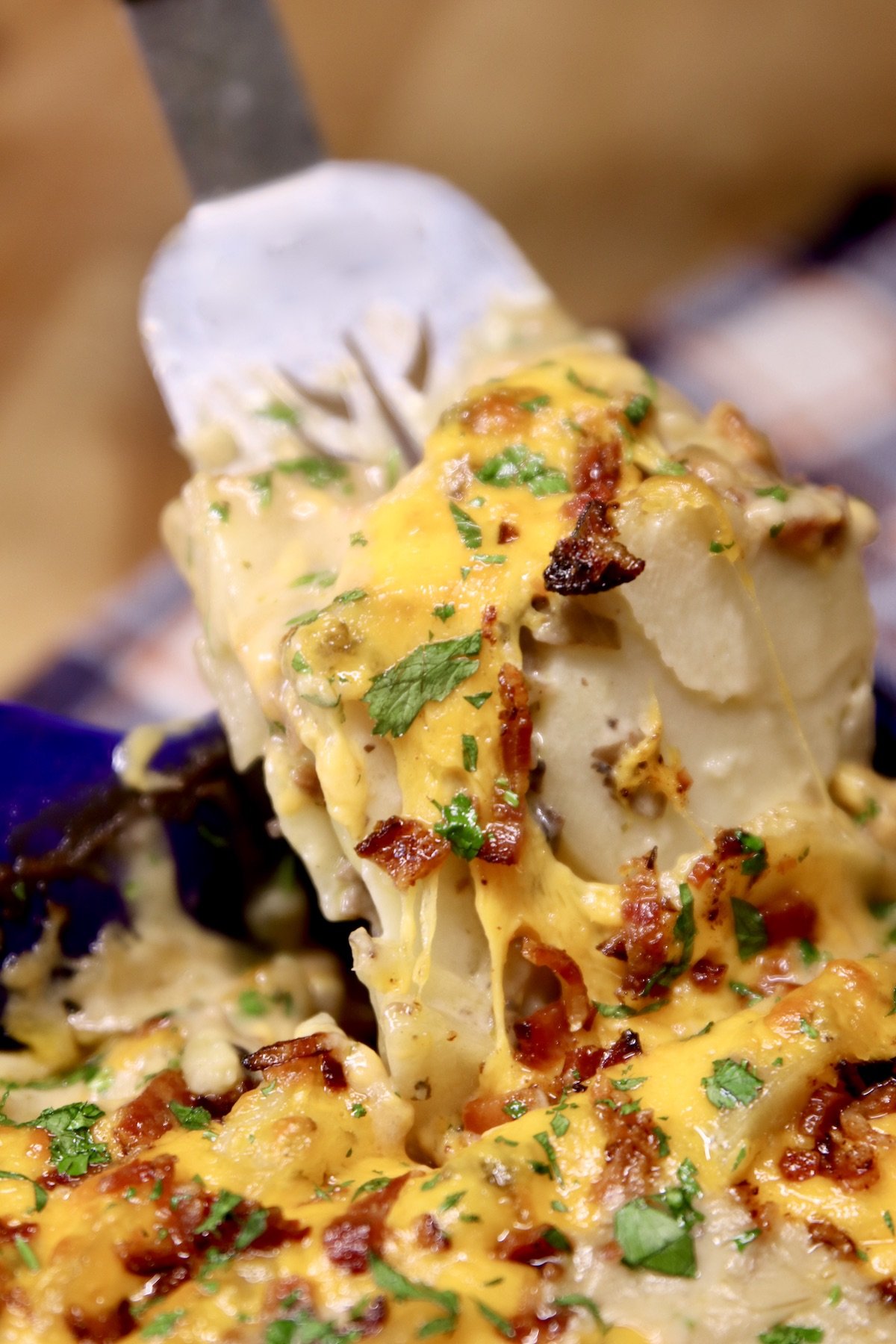 spatula of cheese and potato casserole