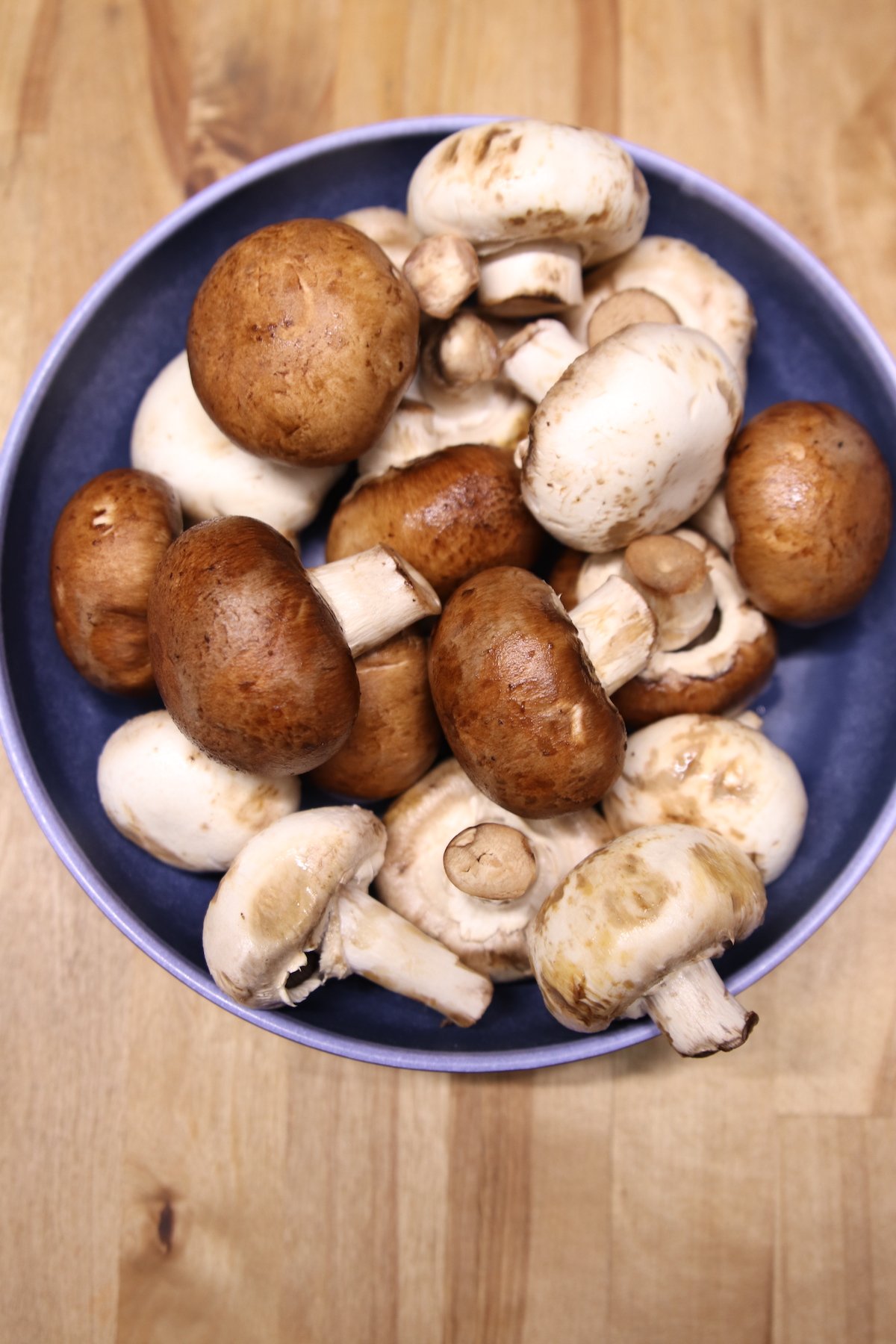 bowl of mushrooms
