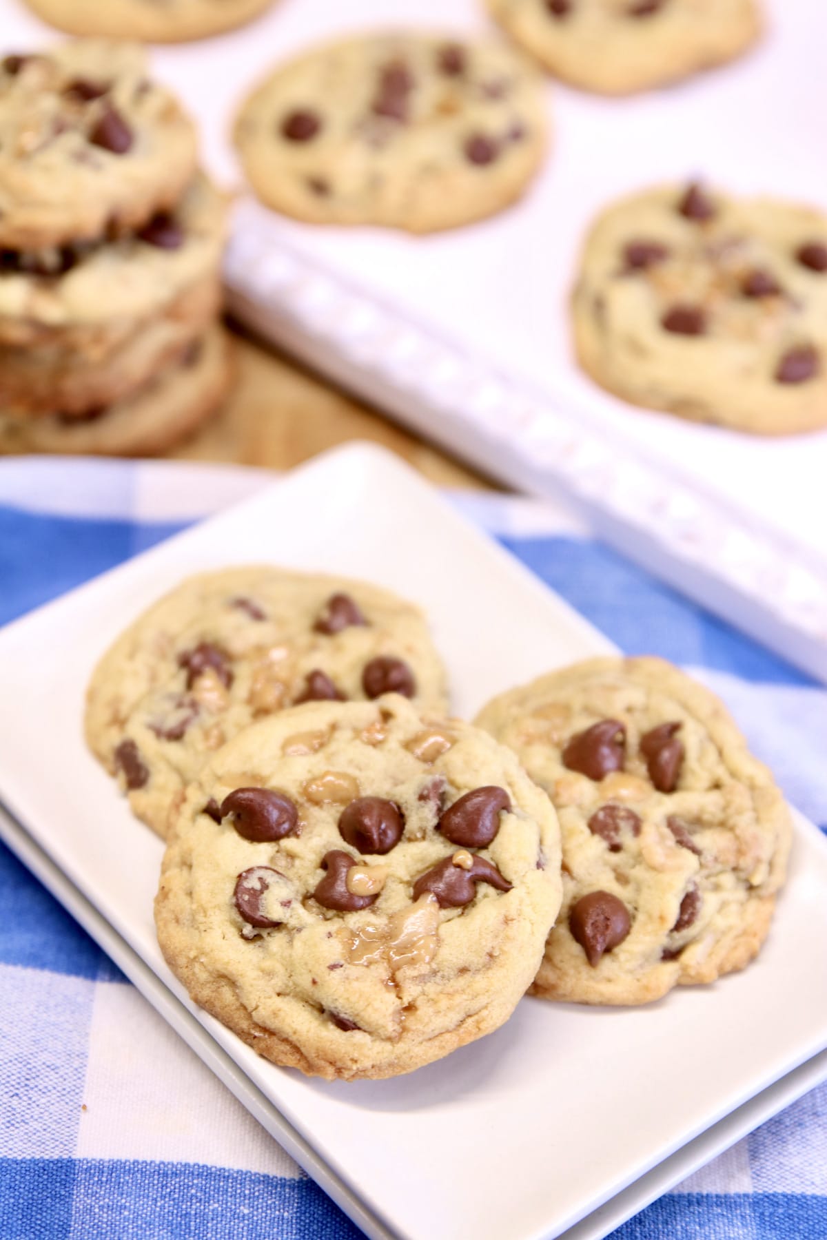 chocolate chip cookies on a plate.