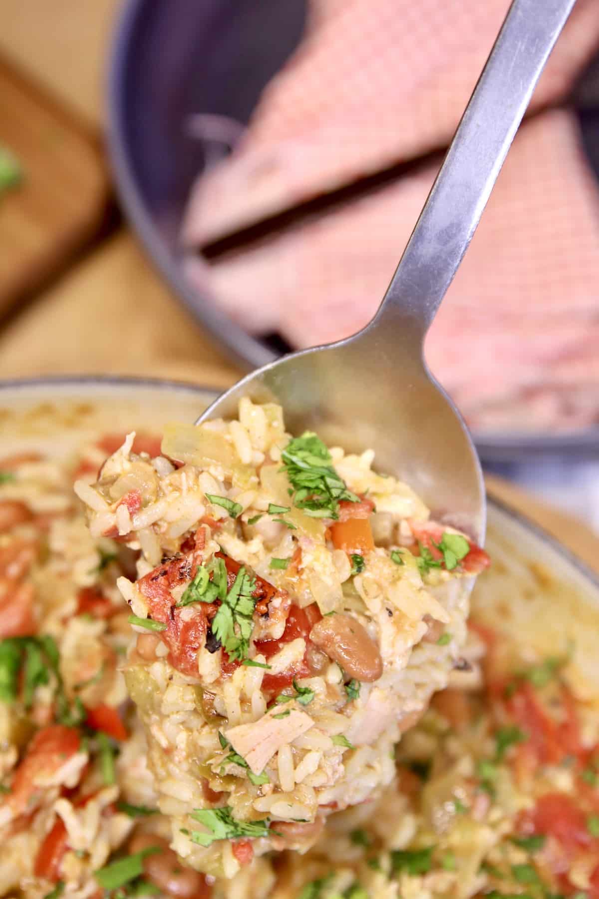 Spoonful of Spanish Chicken and Rice.