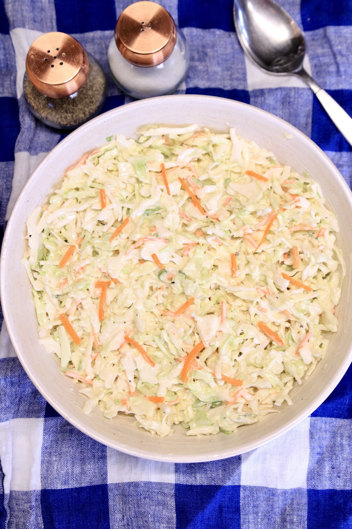 Bowl of coleslaw on a blue check cloth. Salt & pepper shaker, spoon.